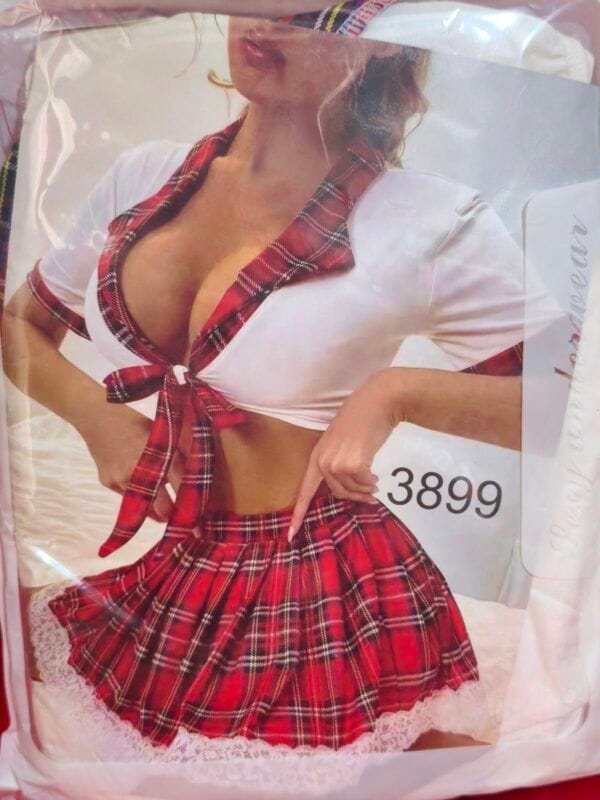 Disfraz de Colegiala 3899 con Top Blanco y Falda a Cuadros Sexy