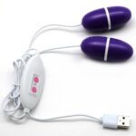 Doble huevo vibrador USB morado con control y dos cápsulas vibratorias